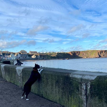 Willa Generals Yard Eyemouth Zewnętrze zdjęcie