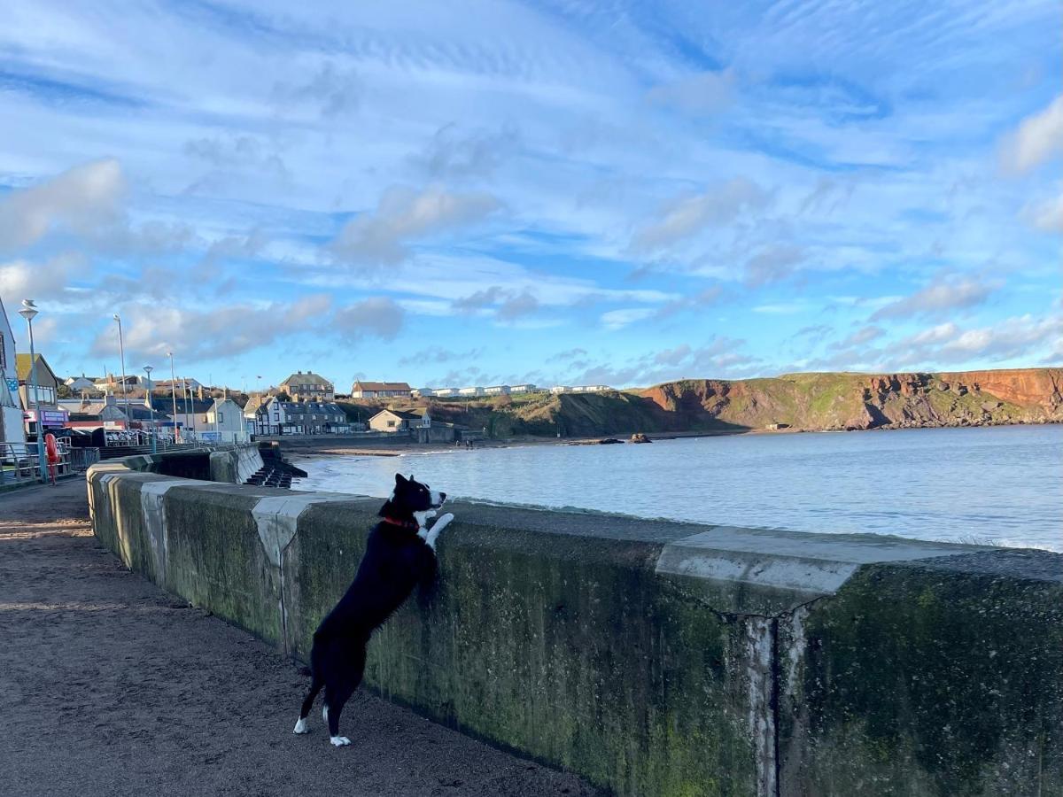 Willa Generals Yard Eyemouth Zewnętrze zdjęcie